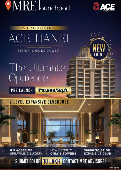 Ace Hanei